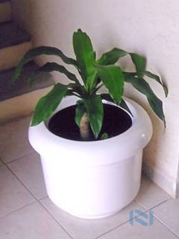 Maceta Decorativa de Fibra de Vidrio