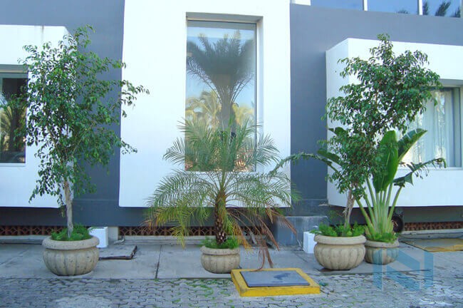 Grupo de Macetas Decorativas de Fibra de Vidrio