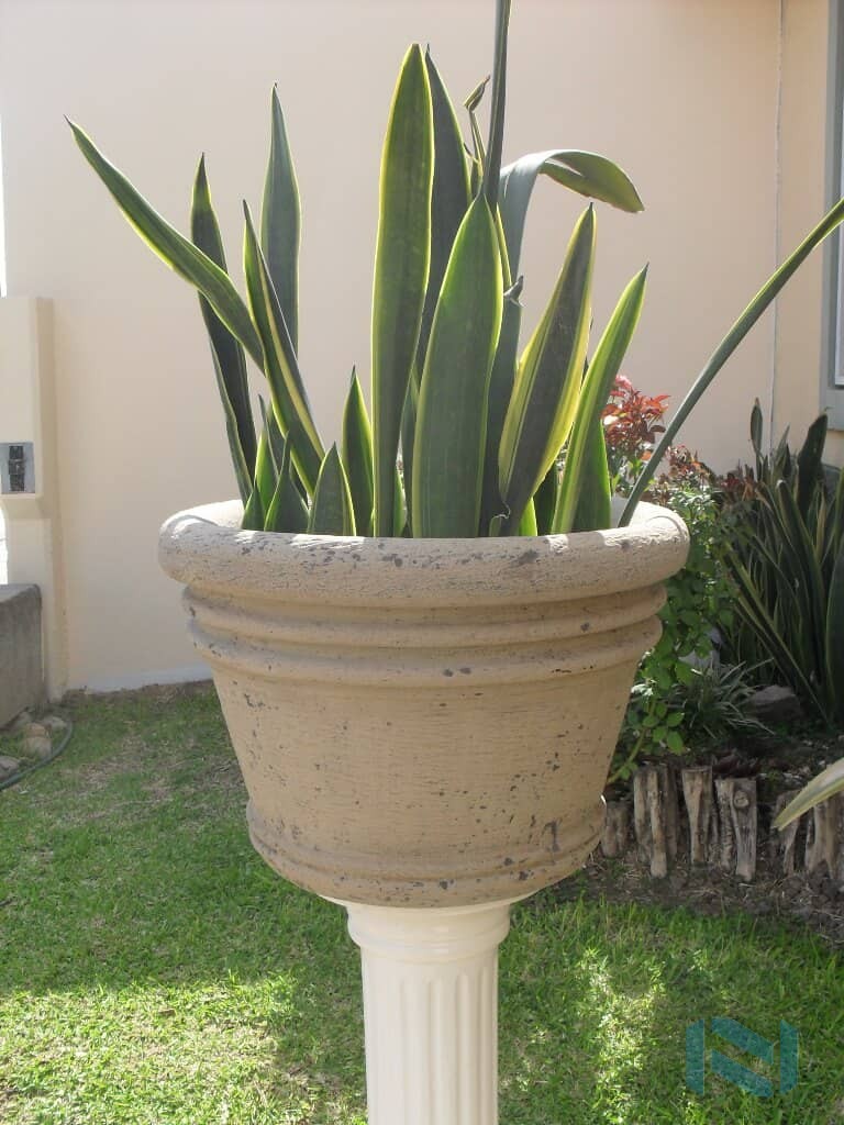 Maceta Decorativa de Fibra de Vidrio