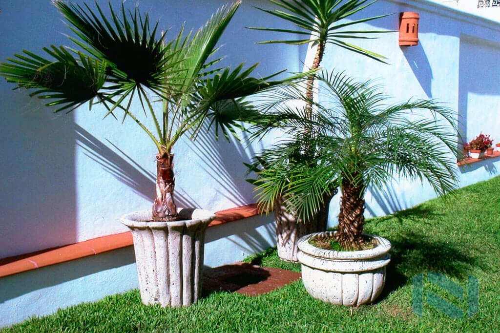 Grupo de Macetas Decorativas de Fibra de Vidrio